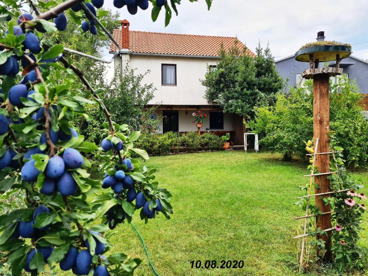 Greenhill Pula Dış mekan fotoğraf