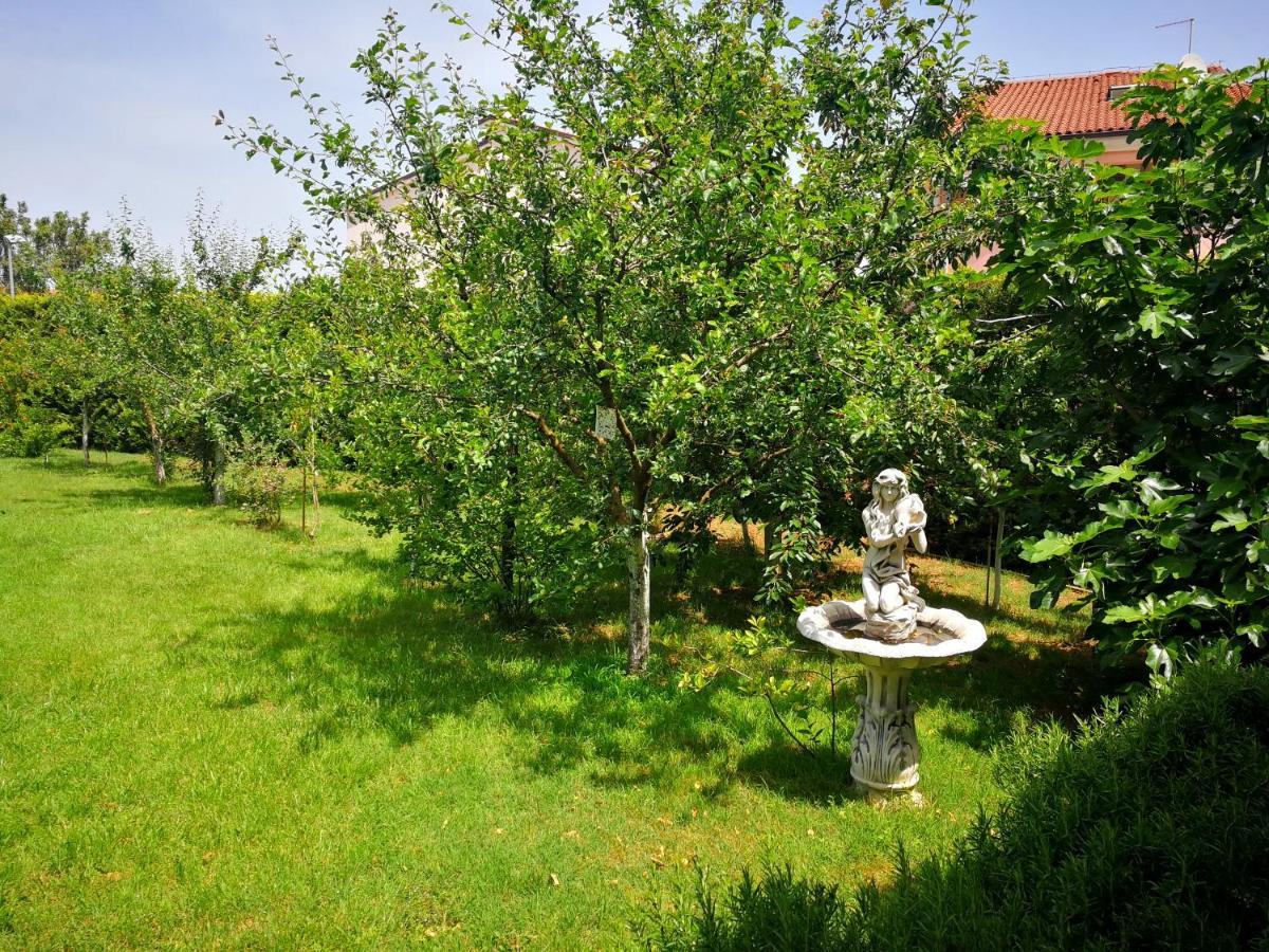 Greenhill Pula Dış mekan fotoğraf
